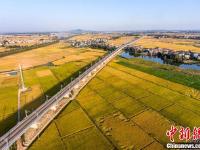 航拍即將通車的九景衢鐵路 穿越金黃田野