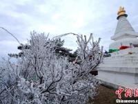 寒潮來襲 江西廬山現(xiàn)絕美霧凇景觀