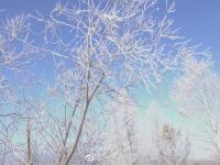 中國最冷小鎮(zhèn)氣溫跌破-33℃ 冰雪美景仿若童話