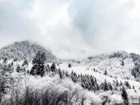 九寨溝迎來入冬第一場雪 晶瑩剔透美如仙境