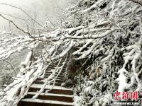 四川萬源八臺(tái)山迎來今冬首場大雪