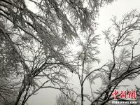 四川萬源八臺(tái)山迎來今冬首場大雪