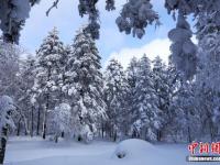 霧凇林海裝點高山雪原美景 