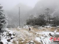 四川螺髻山迎來首場冬雪宛如仙境