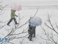  山東煙臺(tái)普降大雪