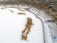  雪降銀川