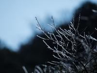  蜀南第一雄關(guān)雪山關(guān)迎來首場降雪