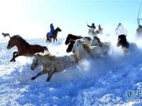  策馬揚鞭踏雪飛