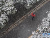  西安迎來降雪天氣