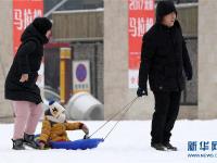  東北多地迎來(lái)新一輪降雪