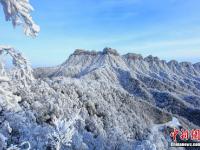  四川光霧山雪后銀裝素裹 美不勝收