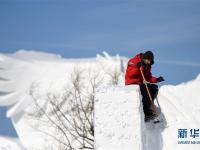  哈爾濱：國際雪雕比賽開鏟