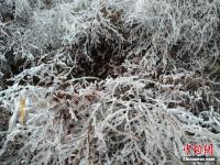  航拍南方游客廬山盡享冰雪運(yùn)動樂趣