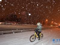  夜雪落津城