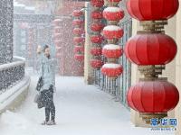  山東半島迎春雪