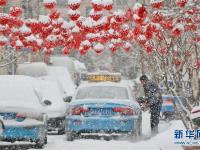  山東半島迎春雪