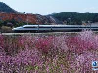  穿越芬芳的列車