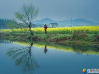 【醉美邵陽(yáng)】邵東：百畝花海扮靚美麗鄉(xiāng)村