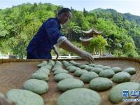  湖北宣恩：花草搓揉出的土家美味