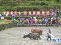 湖南湘西第三屆農(nóng)耕民俗文化節(jié)舉行