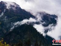  西藏林芝南伊溝雨后宛如水墨畫(huà)卷