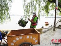  烈日下的湖面“美容師”