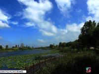  雨后寧陽(yáng)復(fù)圣公園碧水藍(lán)天 高顏值宛如童話世界