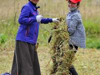  西藏林芝巴宜區(qū)牧草豐收