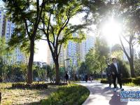  城市“森林”公園“長成記”——北京豐臺兩位七旬老人的影像紀(jì)錄片