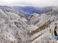  秦嶺初雪