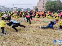  稻田游戲樂淘淘