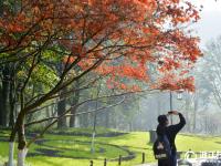  杭州太子灣公園秋意盎然惹人醉