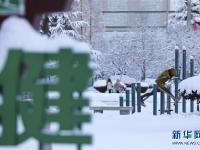  山東多地迎來降雪