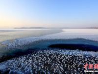  甘肅戈壁濕地冰面“雪處疑花滿”