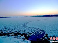  甘肅戈壁濕地冰面“雪處疑花滿”