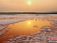  山西運城鹽湖綻放美麗“硝花”