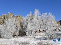  雪霽石林