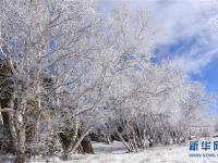  雪霽石林