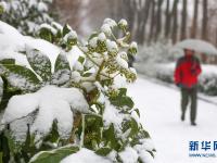  多地迎來(lái)降雪天氣