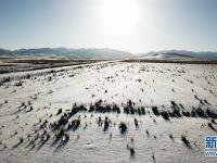  雪落千年馬場