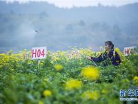  春回大地農(nóng)事忙