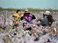  山東郯城：“農(nóng)家花園”助力鄉(xiāng)村旅游