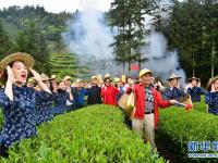  武夷山：生態(tài)茶園 祭茶喊山