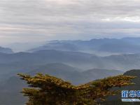  峨眉山景色秀美