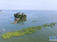  鄱陽(yáng)湖水位超警戒