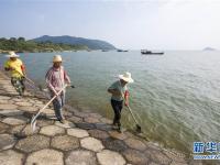  鄱陽(yáng)湖水位超警戒