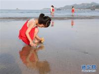  光影霞浦夏日