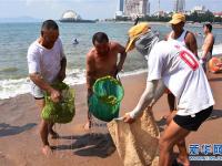  打撈精細化 滸苔到岸少