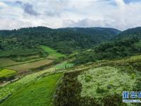  重慶豐都南天湖 高山秀色醉游人