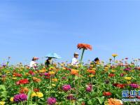  長春蓮花山：花海醉游人